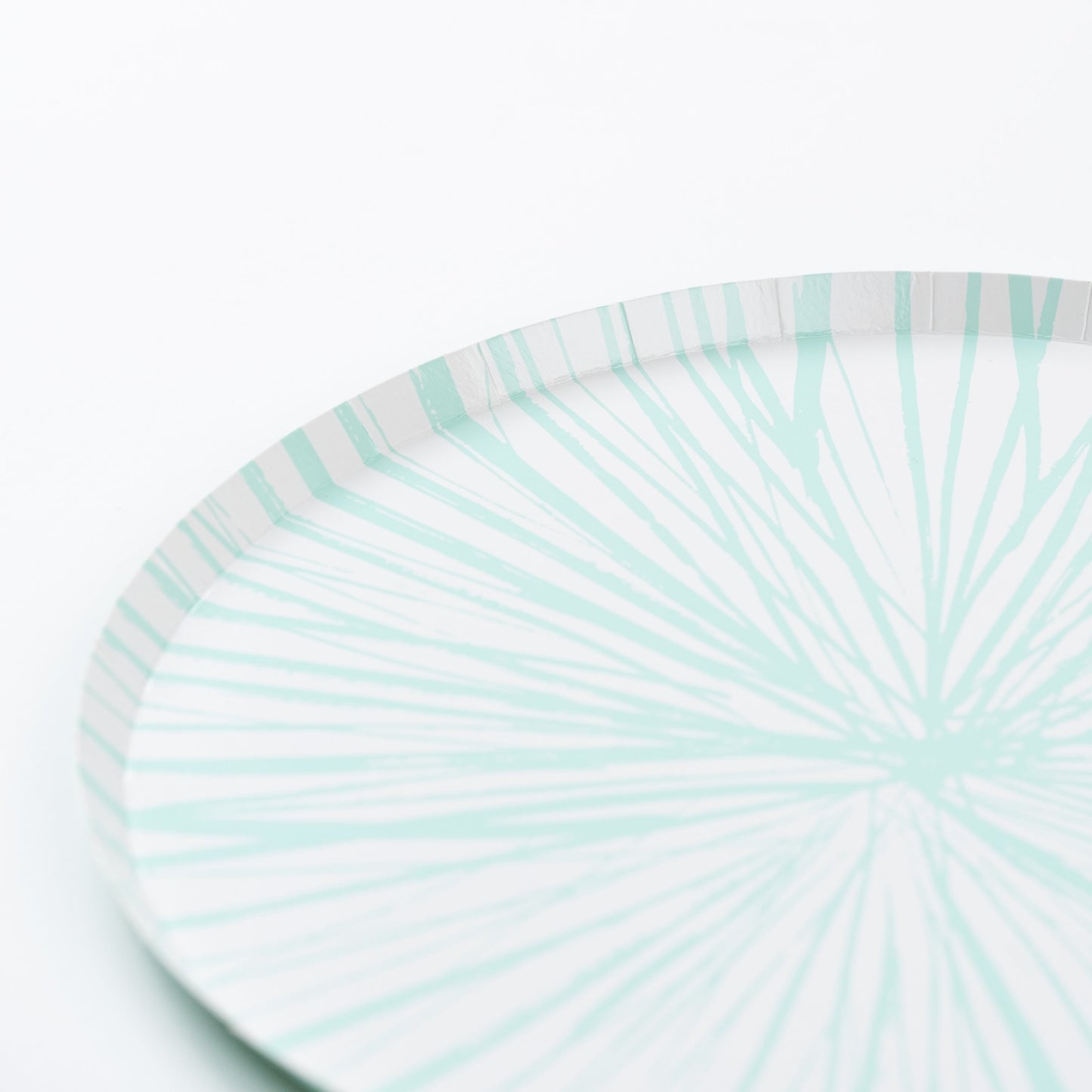 RAD25-DNP2- Mint Radiance Dinner Plates