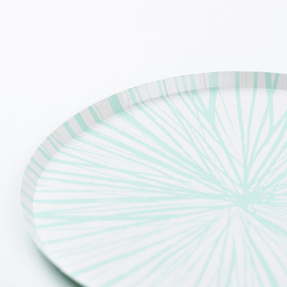 RAD25-DNP2- Mint Radiance Dinner Plates